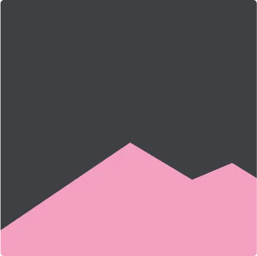 Sal Rosada del Himalaya Ajo y Cebolla